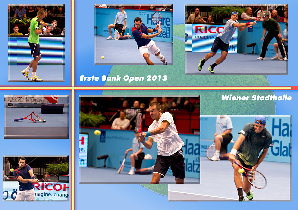 Erste Bank Open 2013 - Wiener Stadthalle