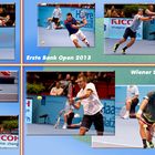 Erste Bank Open 2013 - Wiener Stadthalle