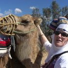 Erste Begegnung mit einem Kamel