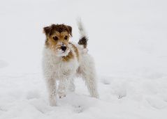 Erste Berührung mit Schnee ..