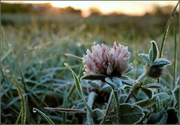 Erste "Beute" von heute