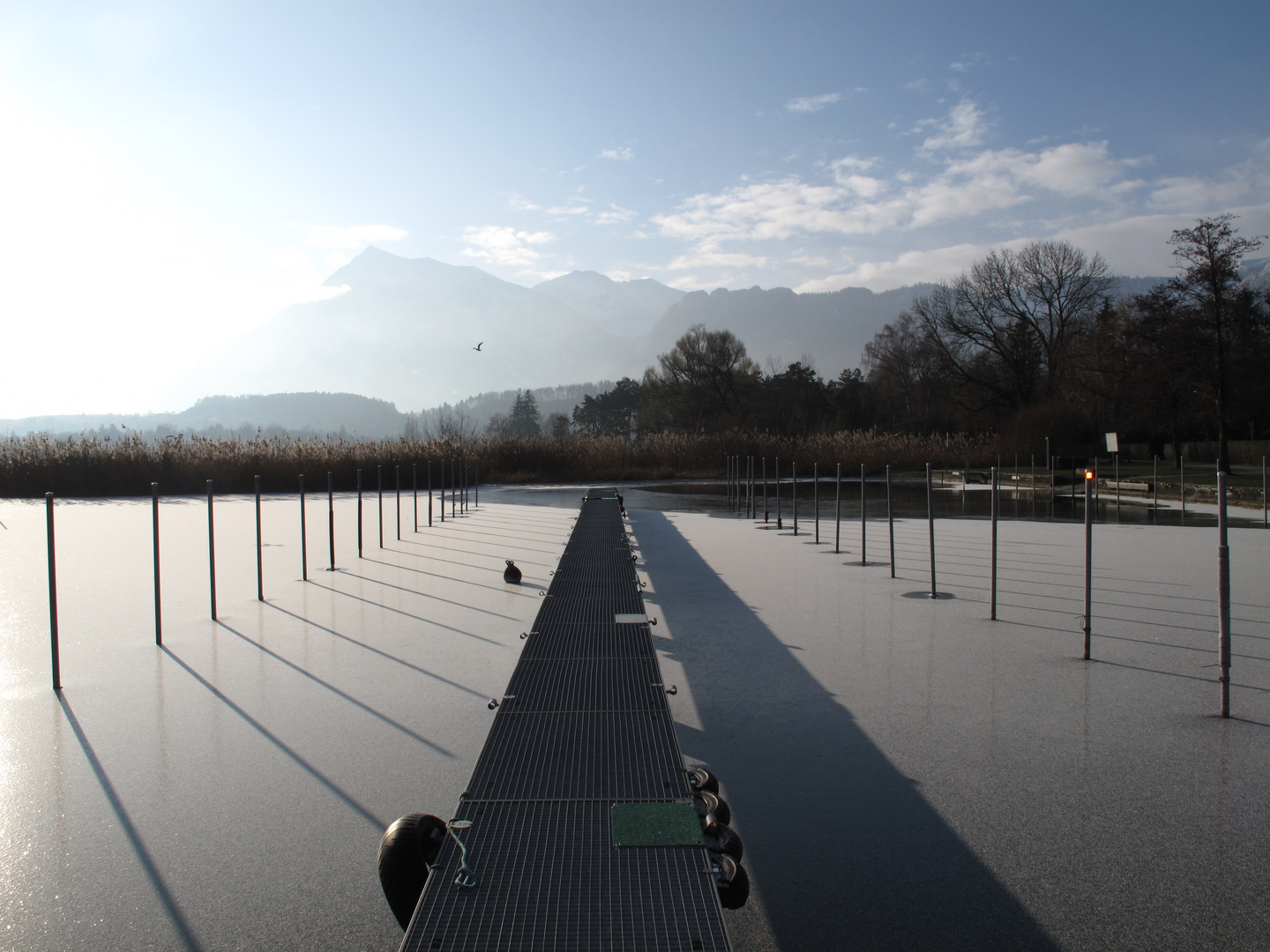 Erste Eisdecke im Bootshafen