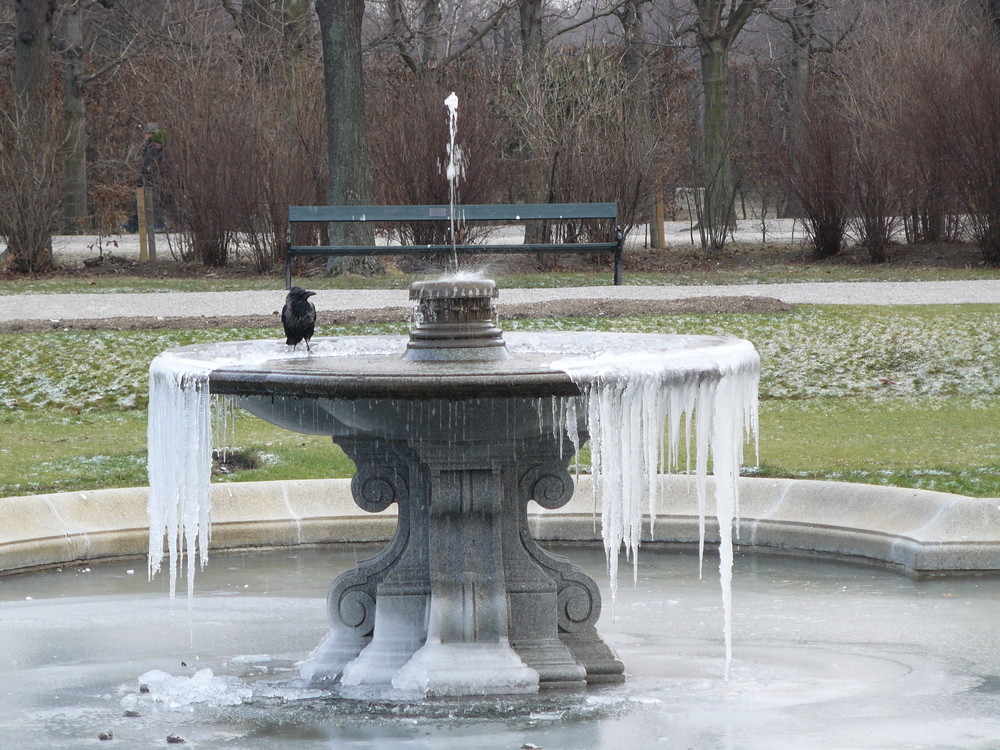 Erste Eiszapfen