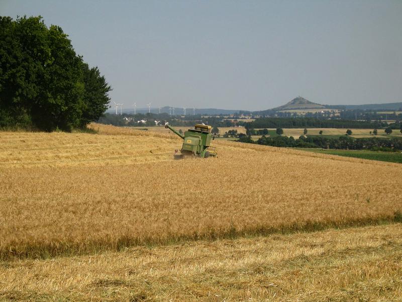 Erste Ernte 2003 im Warburger Land