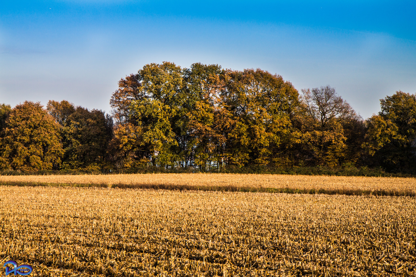 Erste Farben...