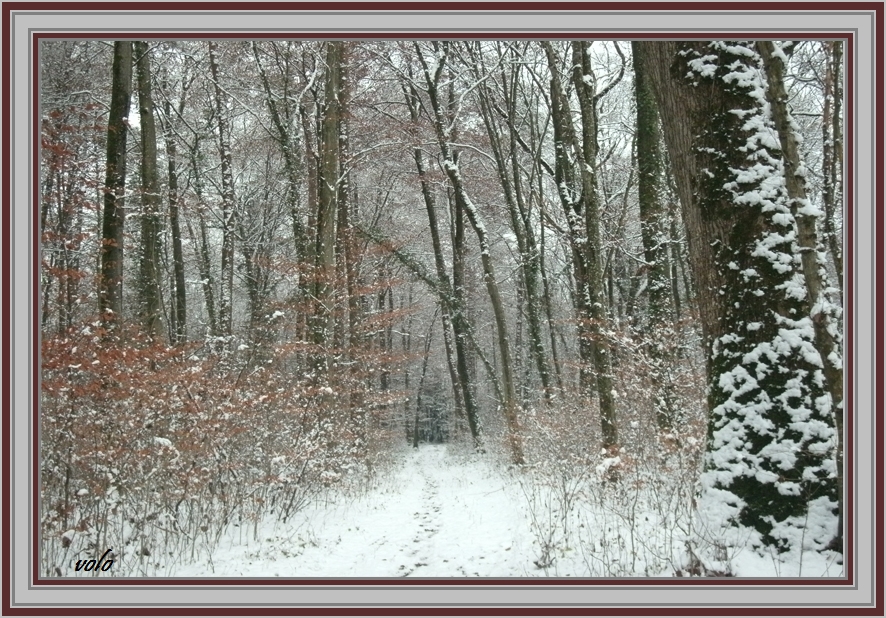 Erste Flocken ( 400M.ü.M. )