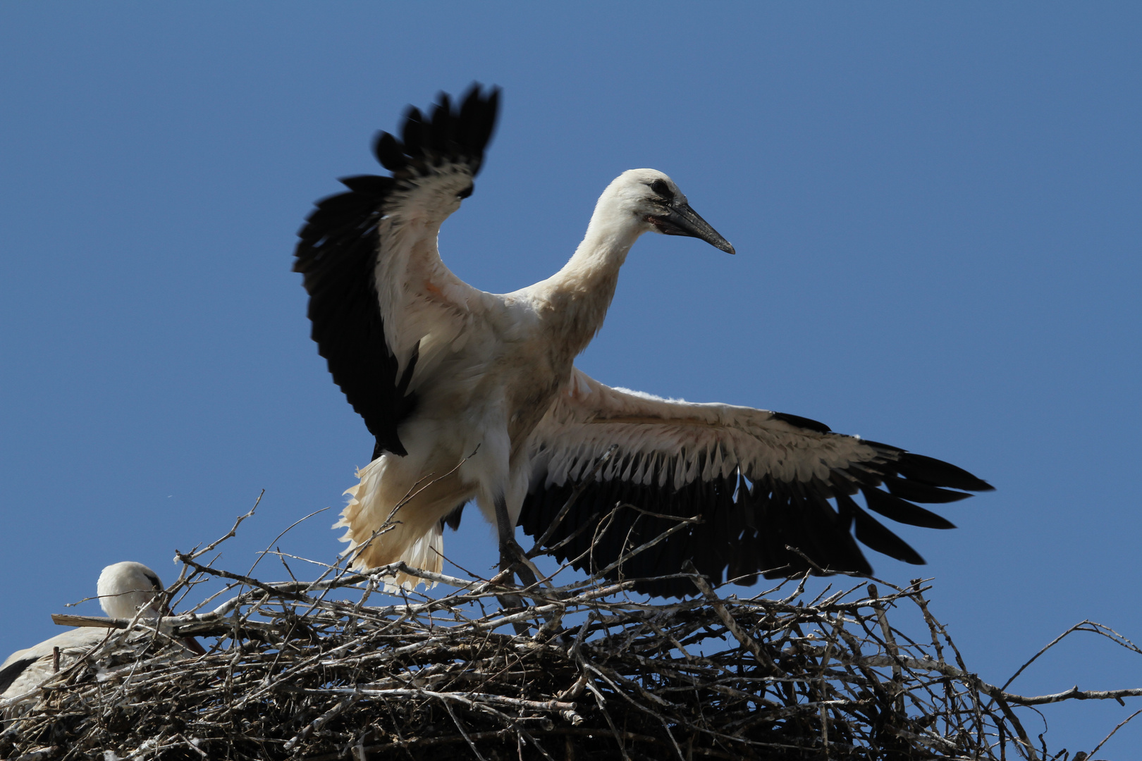 Erste Flugstunde 