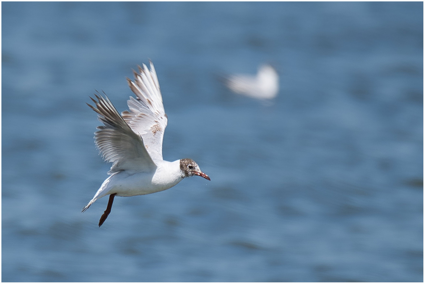 erste Flugversuche