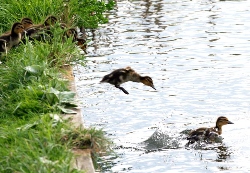 "Erste Flugversuche"