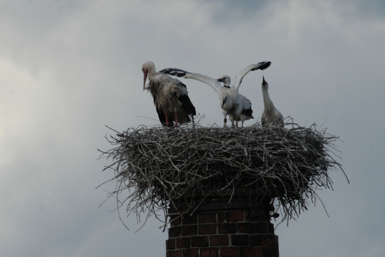 Erste Flugversuche