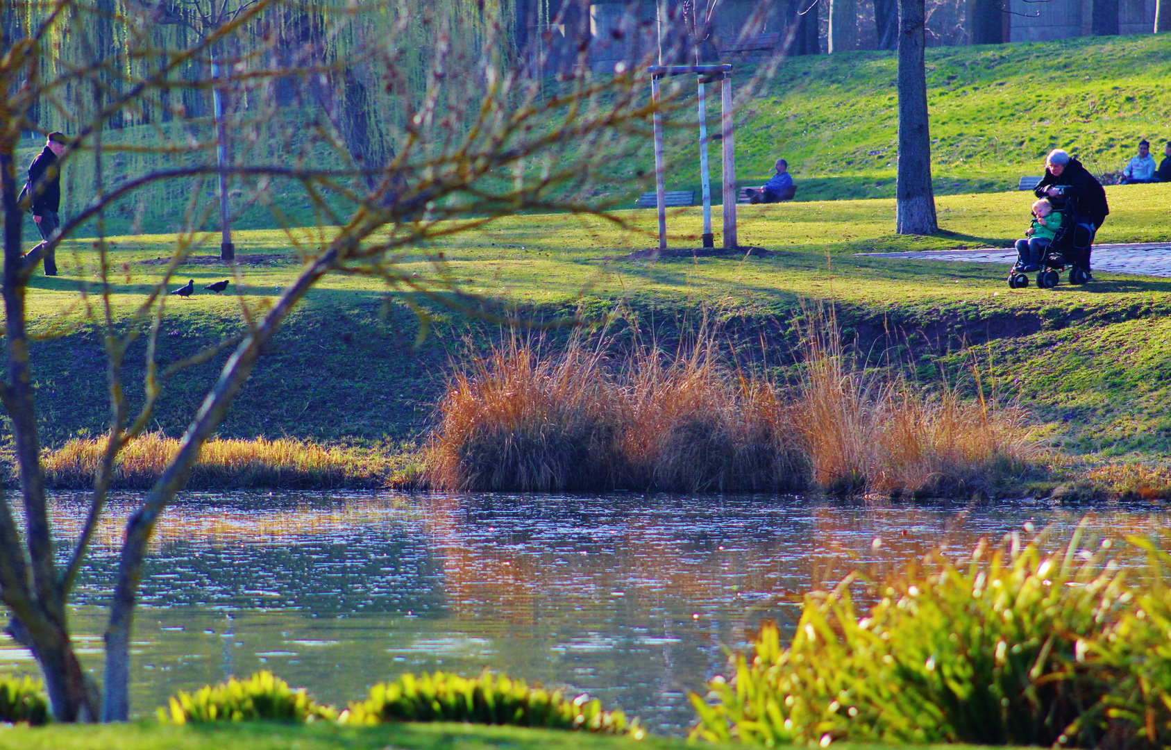 erste Frühlingsanzeichen im Rosensteinpark 