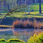 erste Frühlingsanzeichen im Rosensteinpark 