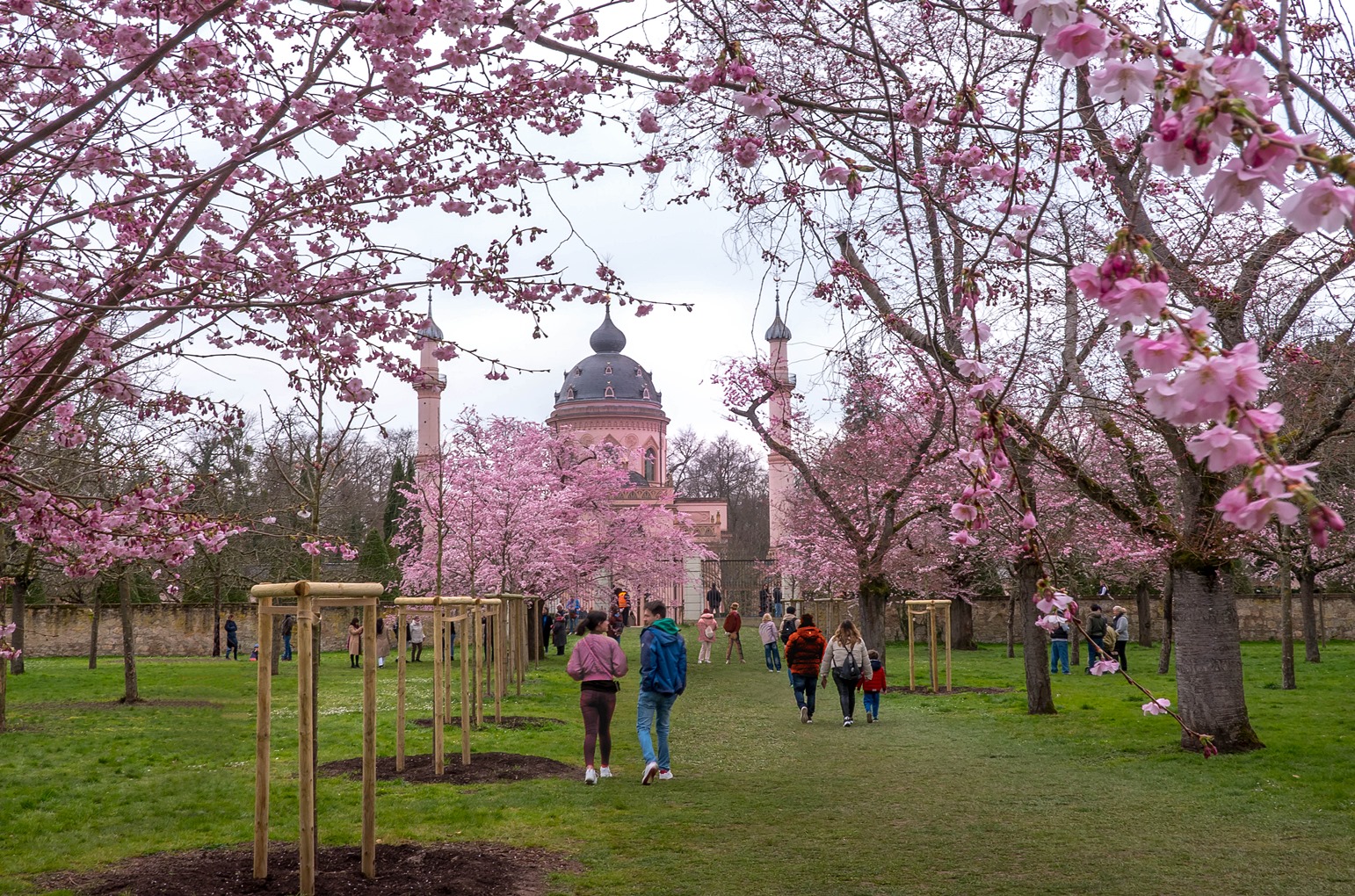 erste Frühlingsgefühle 