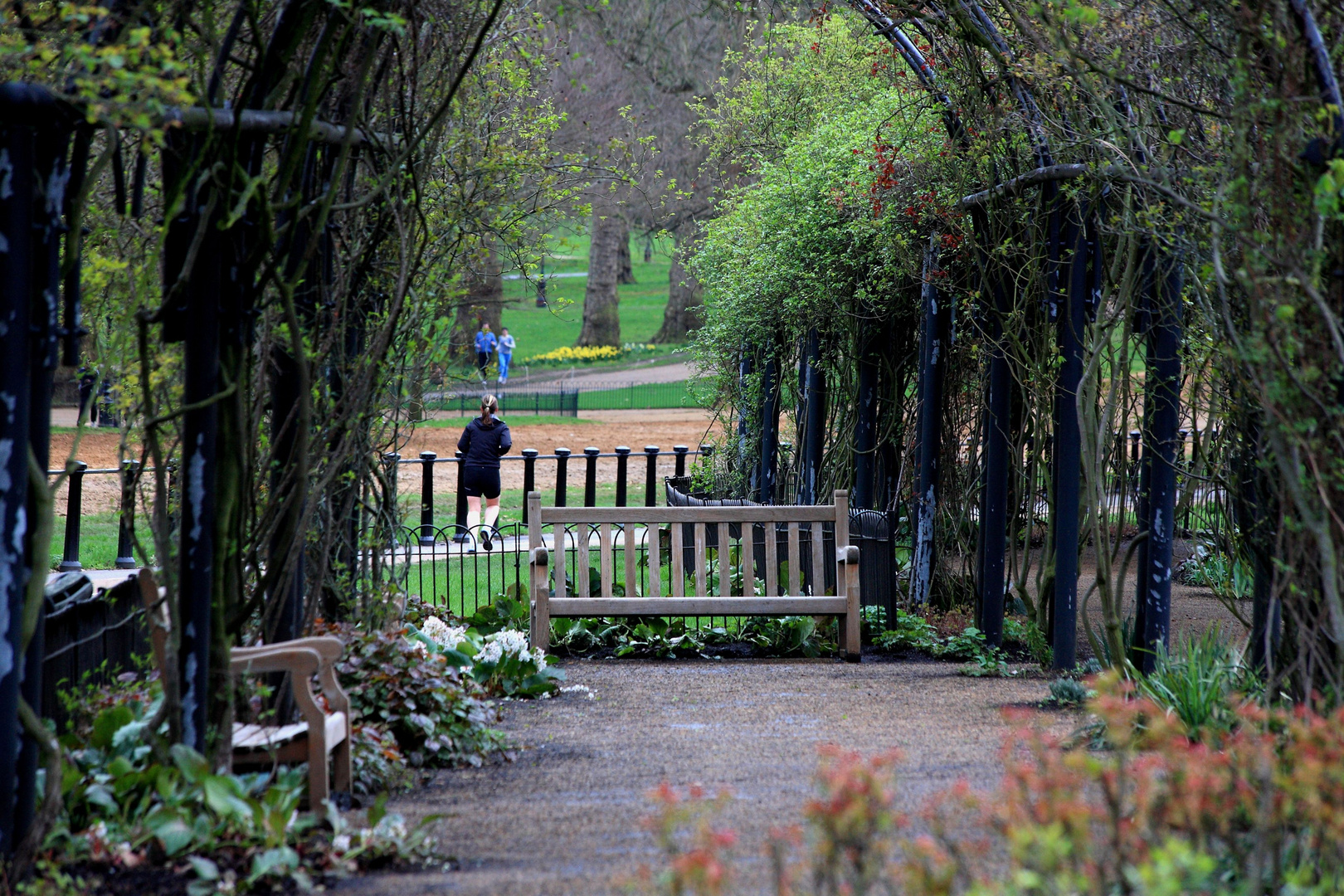 Erste Frühlingsimpressionen im Hyde-Park