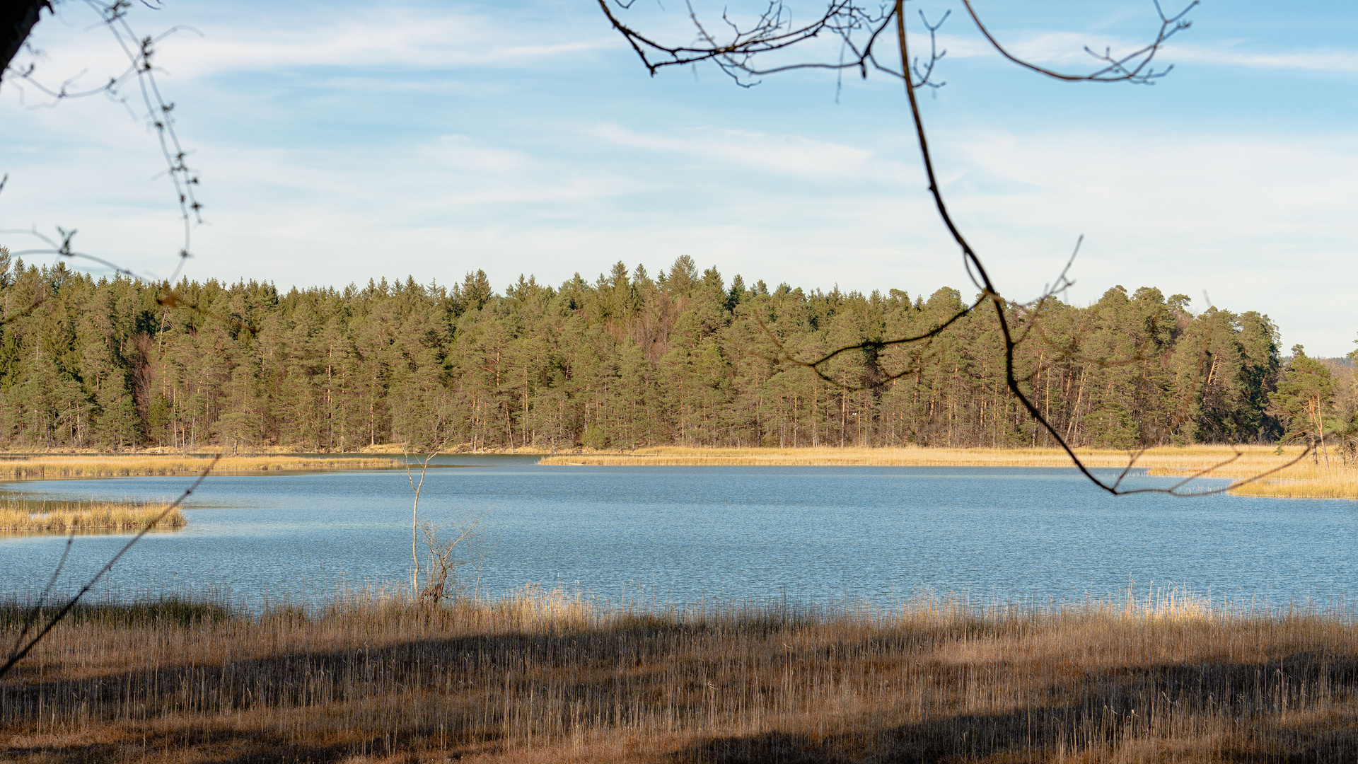 Erste Frühlingsonne an den Osterseen