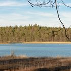 Erste Frühlingsonne an den Osterseen