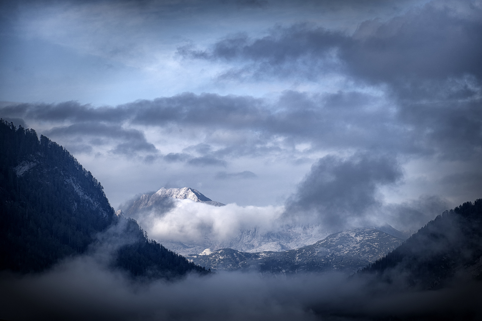 erste Frühnebel