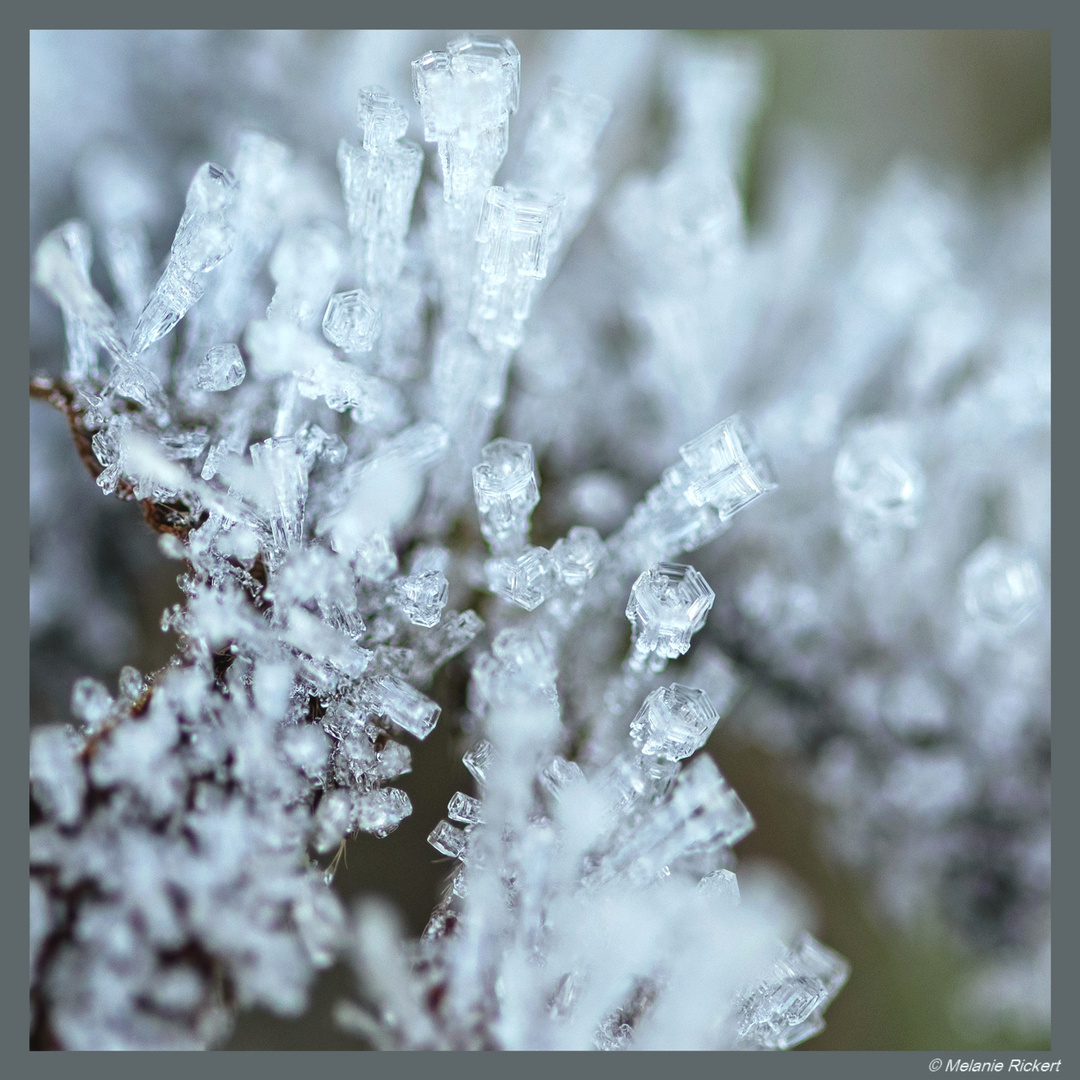 Erste Grüße von Väterchen Frost