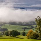 erste herbstboten