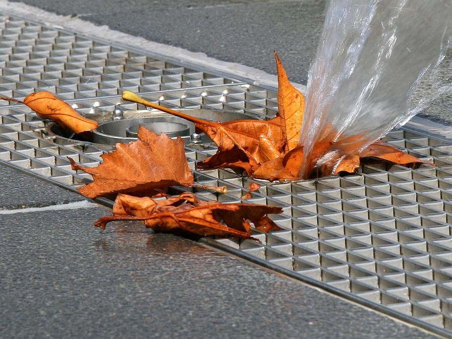 Erste Herbstboten