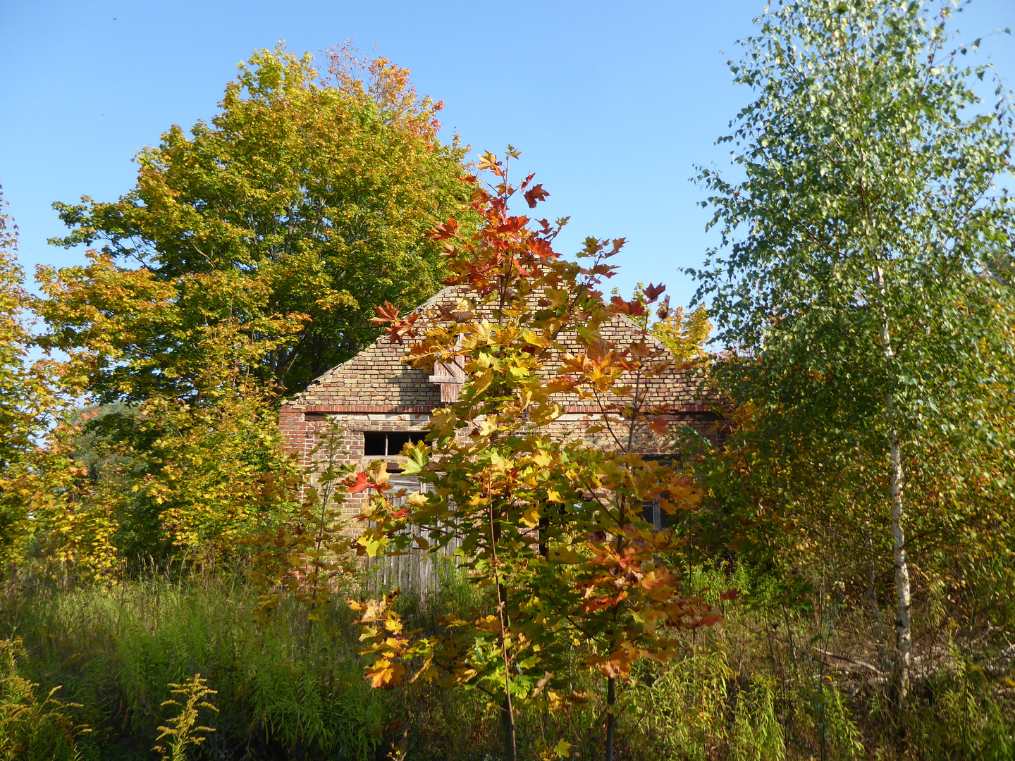 erste Herbstfarben