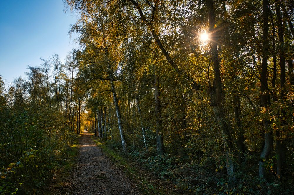 Erste Herbstimpression...