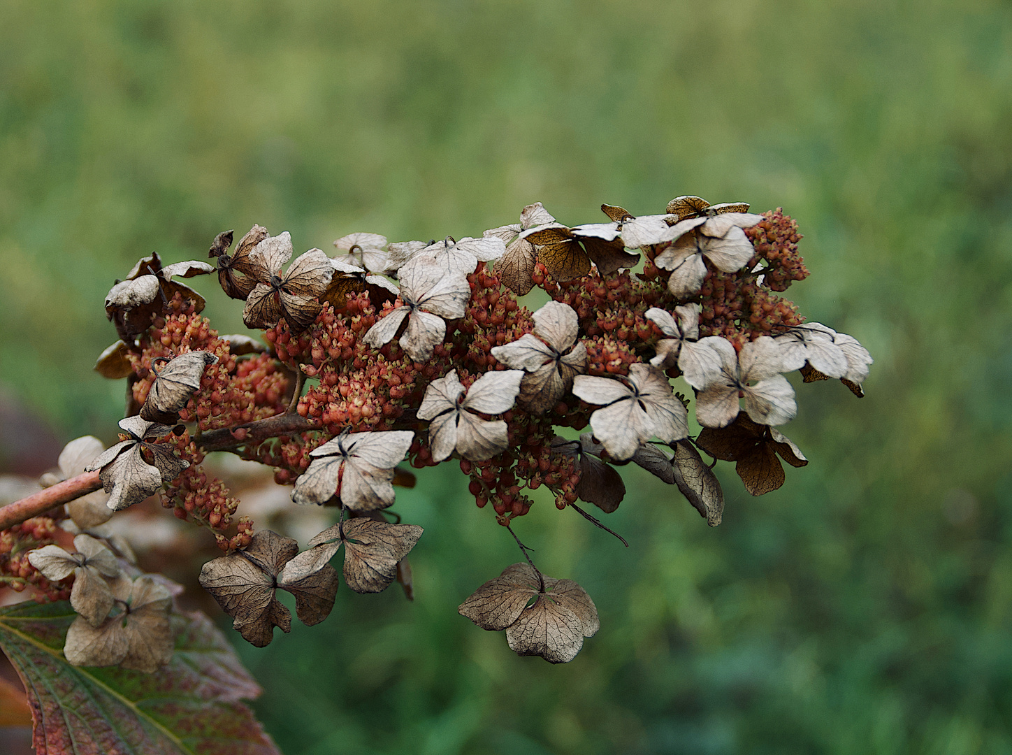 Erste Herbstimpressionen 