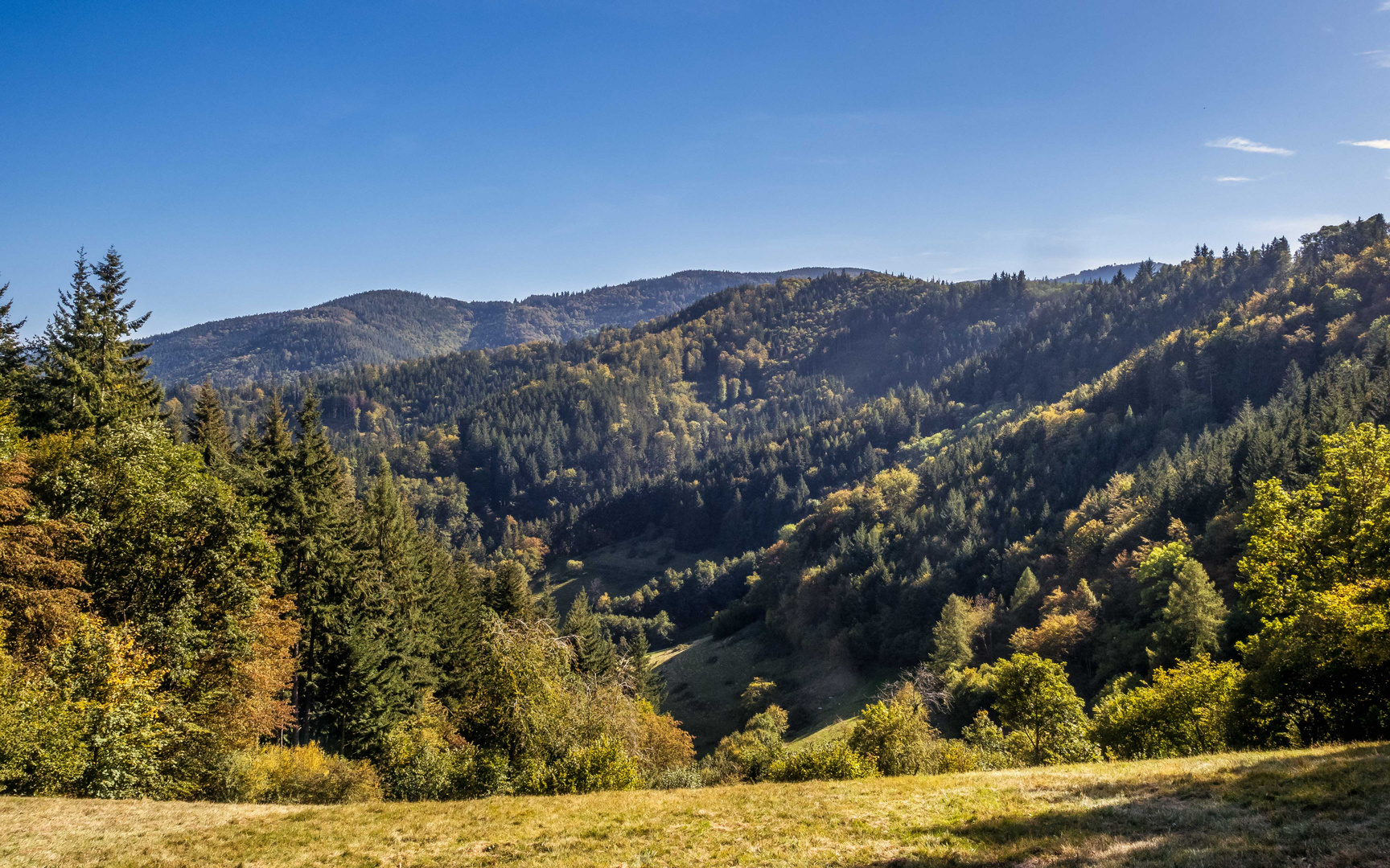 Erste Herbstnuancen - in einem Tal irgendwo bei Freiburg