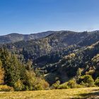 Erste Herbstnuancen - in einem Tal irgendwo bei Freiburg