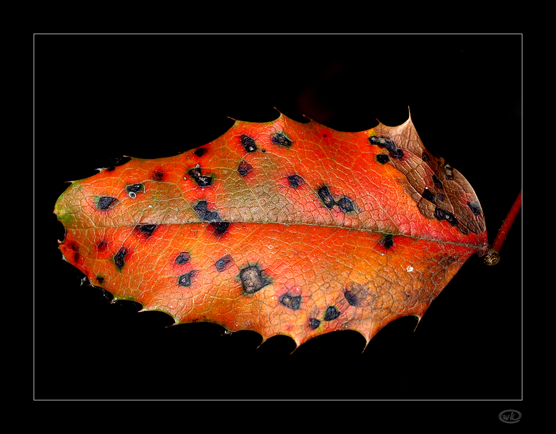 Erste Herbstspuren