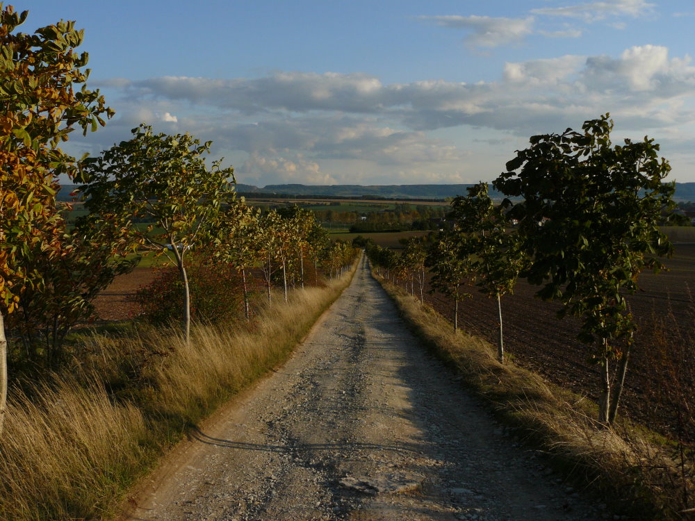 Erste Herbststimmung