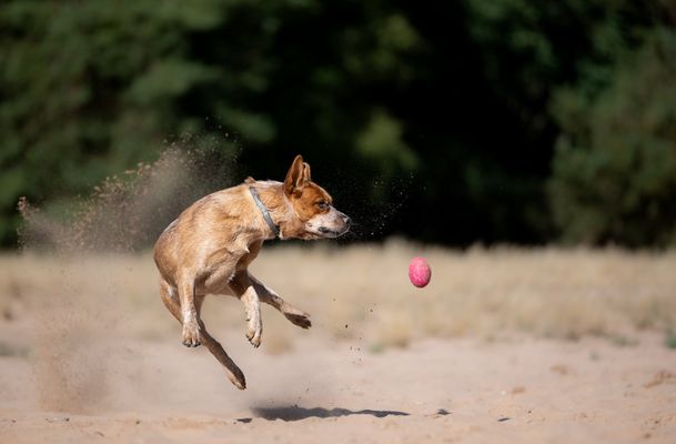Erste Herbststürme deuten sich an :-))