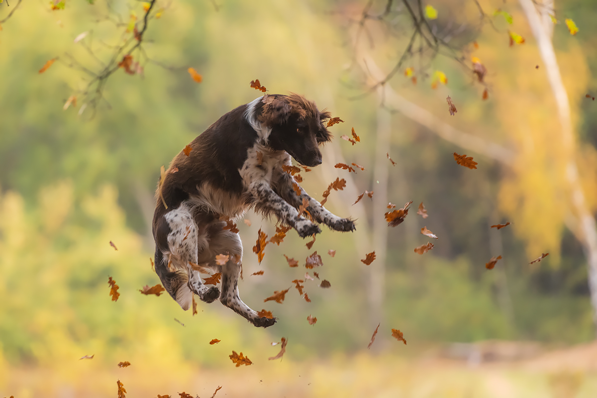 Erste Herbststürme kündigen sich an :-)