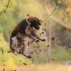 Erste Herbststürme kündigen sich an :-)