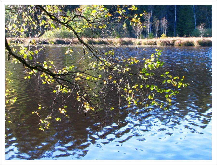 erste Herbsttage