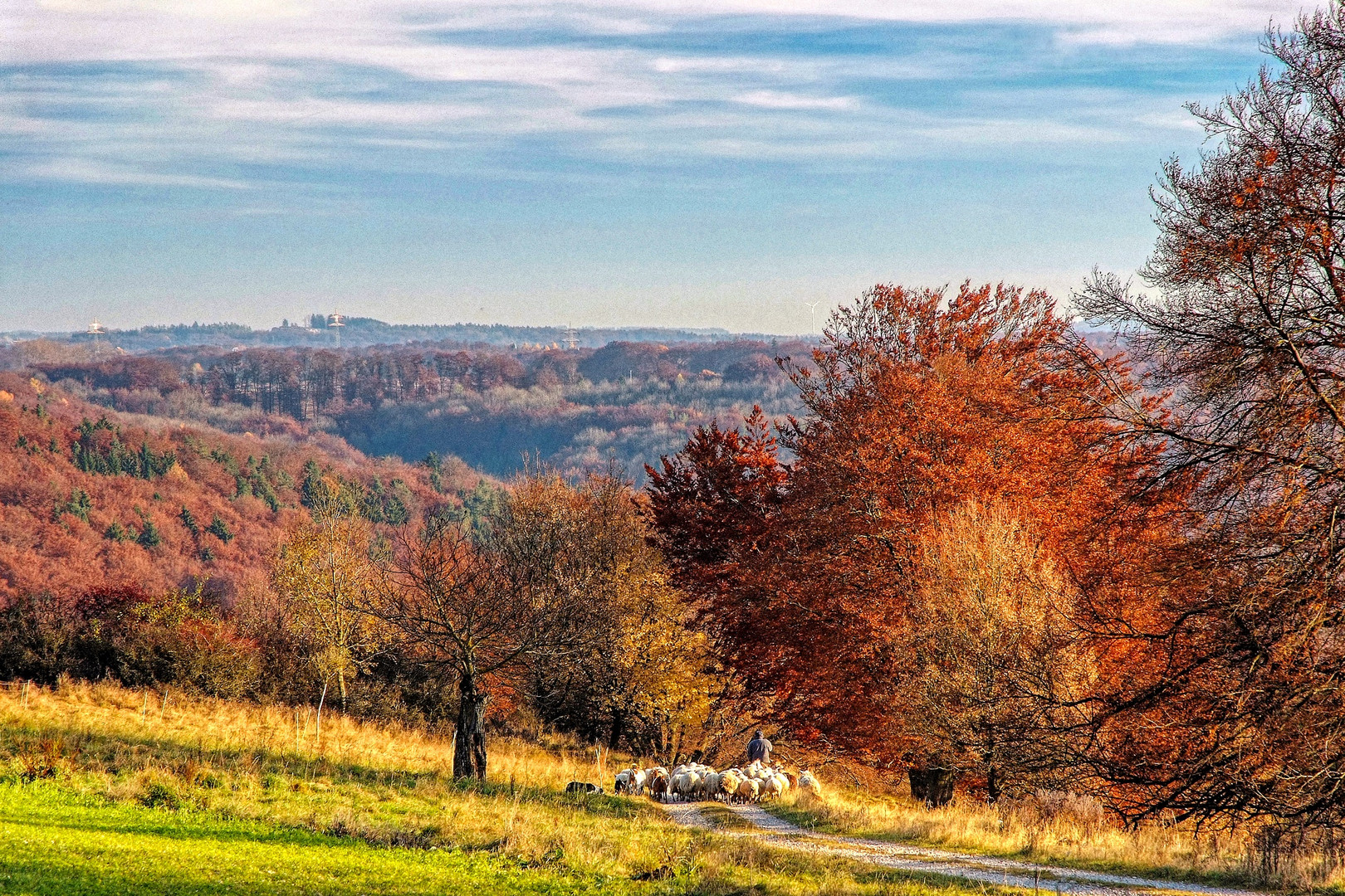 Erste Herbsttage