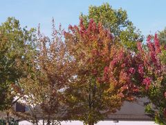 erste Herbsttöne