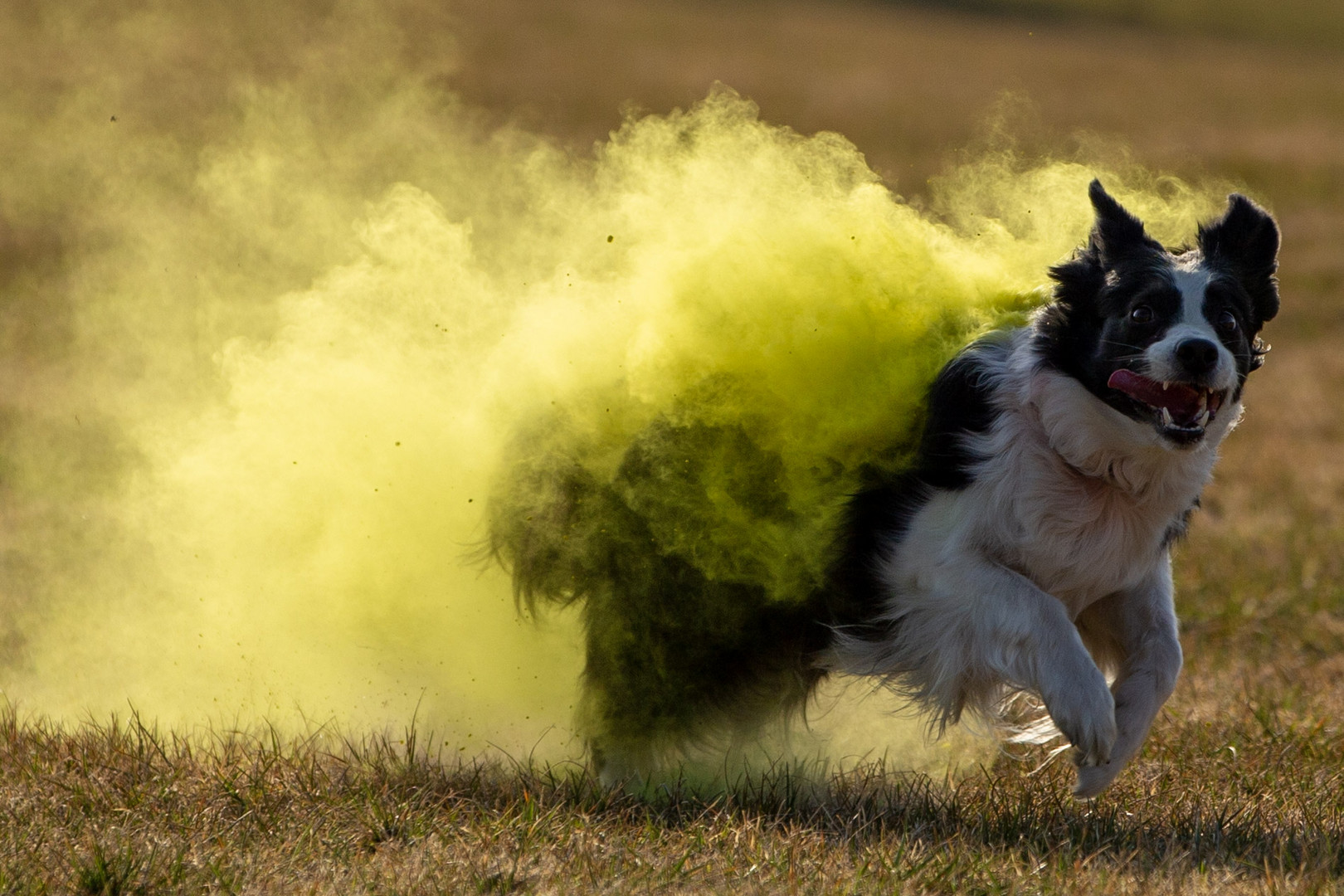 Erste Holi Versuche