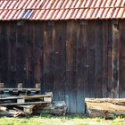 erste Impressionen  im kalendarischen Frühling 