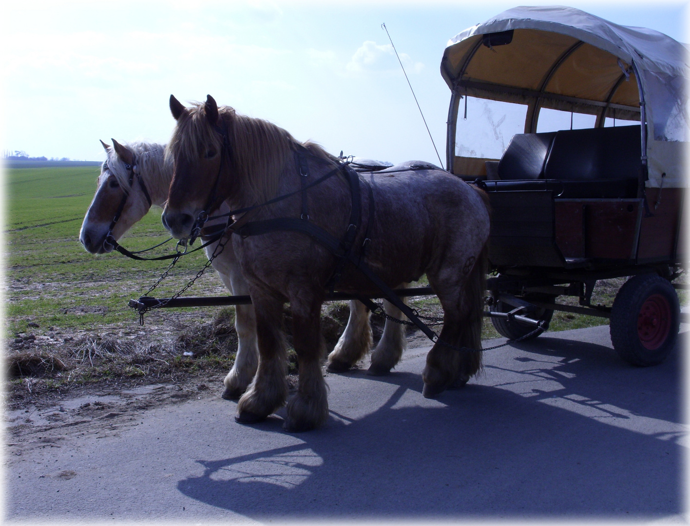 erste Kutschfahrt im April