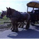 erste Kutschfahrt im April