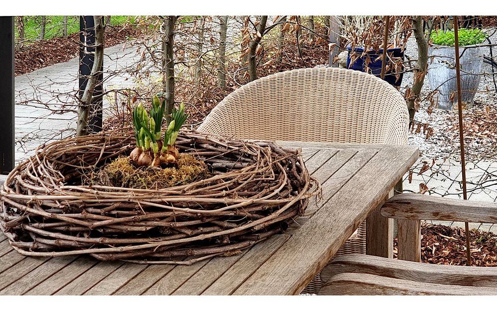 Erste Lebenszeichen im Gartenpavillon