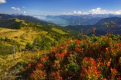 Erste leuchtende Herbstfarben