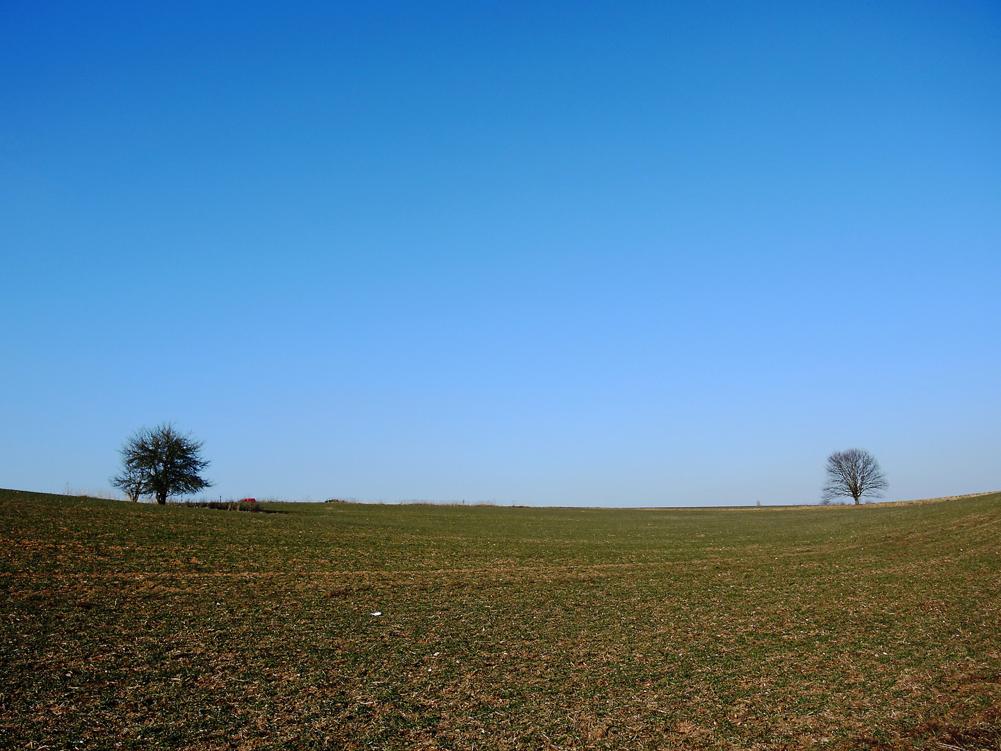 Erste März-Sonne