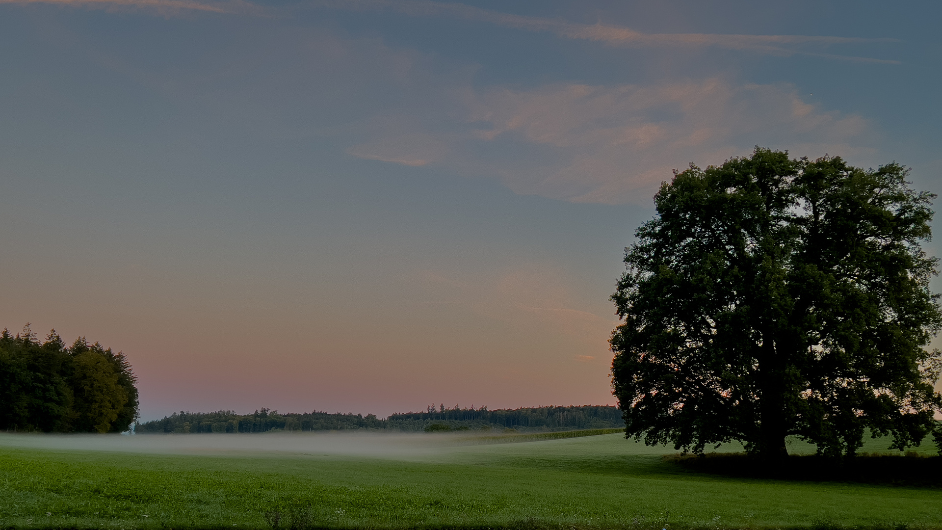 Erste Nebelschwaden künden den Herbst an.