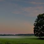 Erste Nebelschwaden künden den Herbst an.