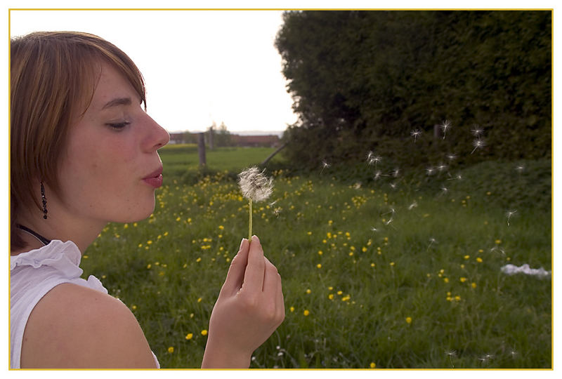 Erste Pusteblume