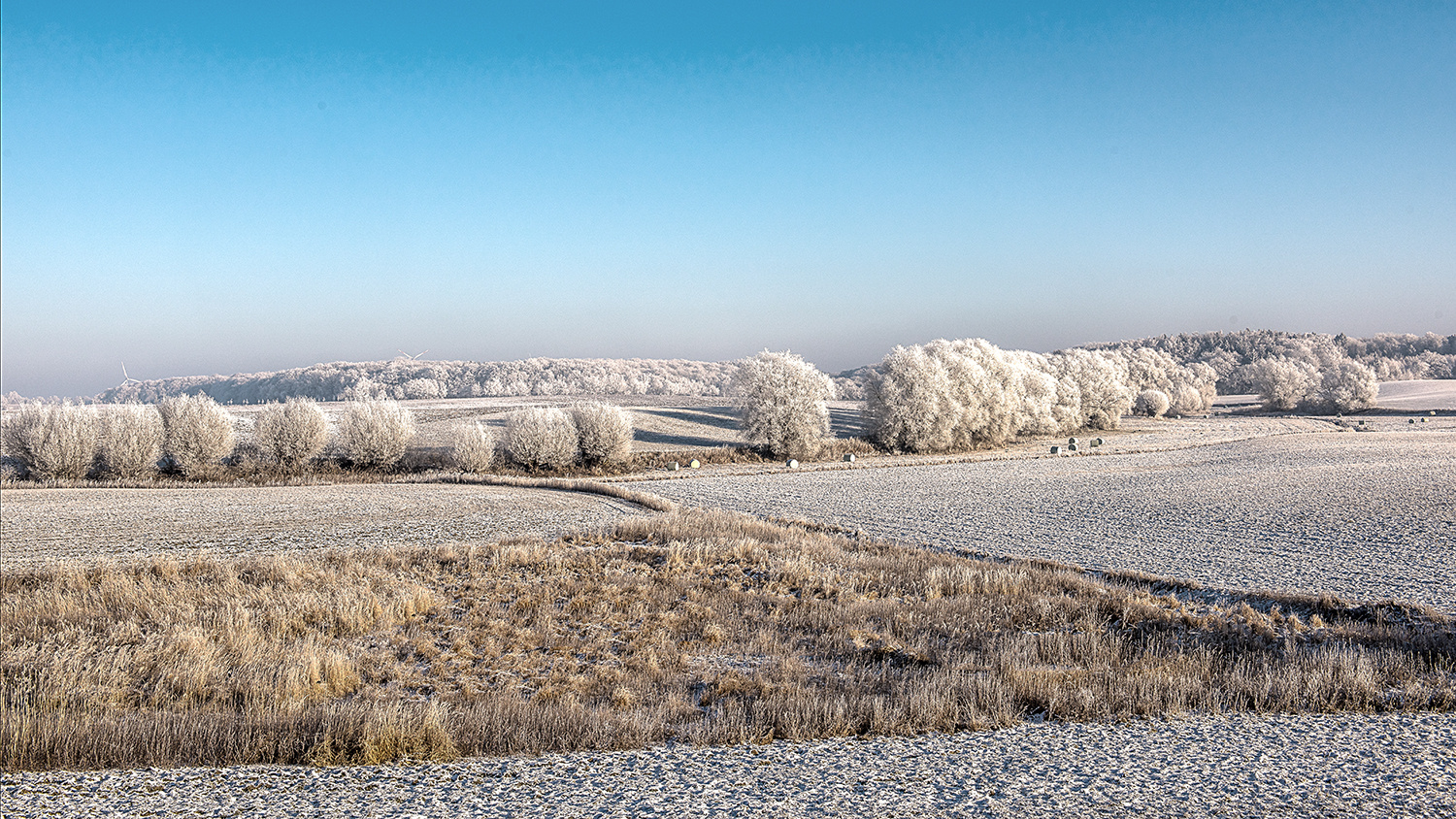 erste Schnee