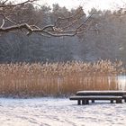 Erste Schnee in diesem Jahr 3.02.2012