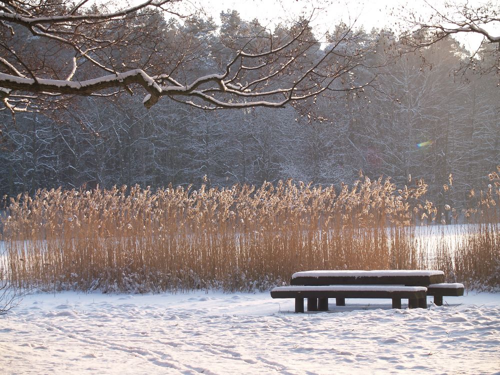 Erste Schnee in diesem Jahr 3.02.2012